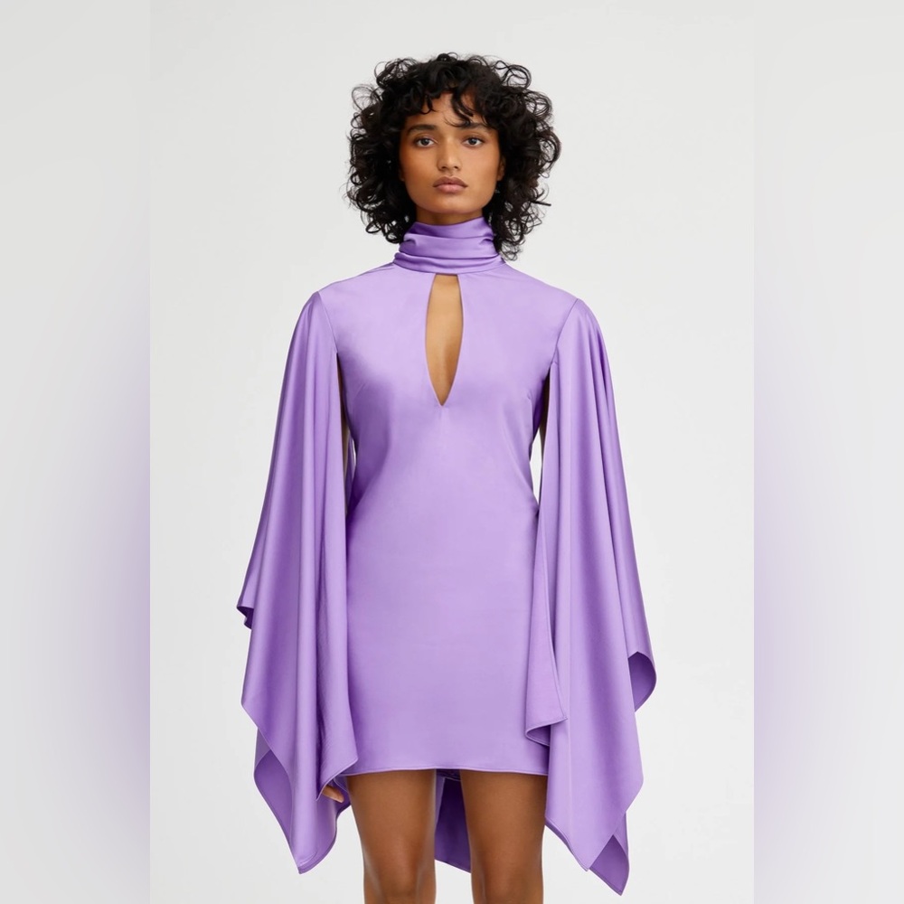 NWT Significant Other Adriana Long Sleeve Mini Dress
